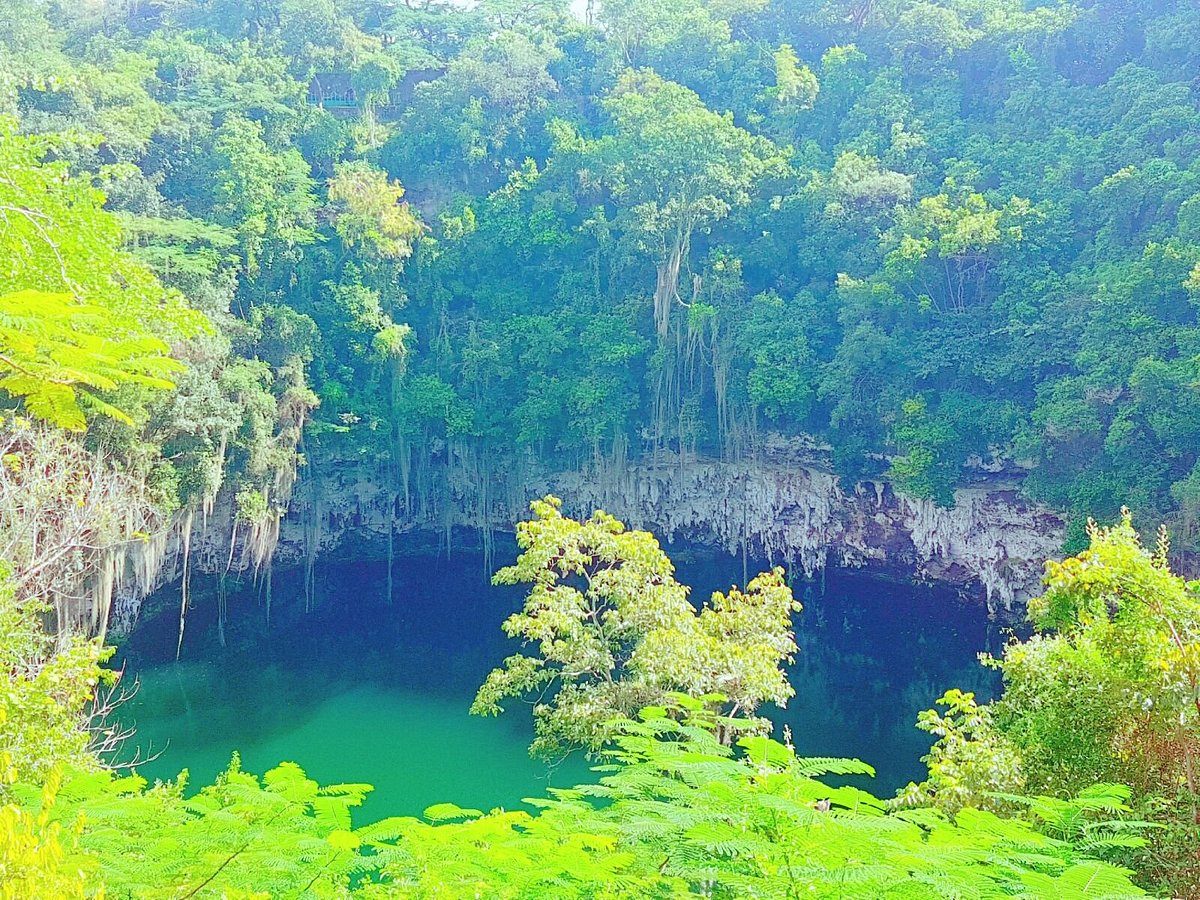 Lago rodeado de vegetación en Los Tres Ojos