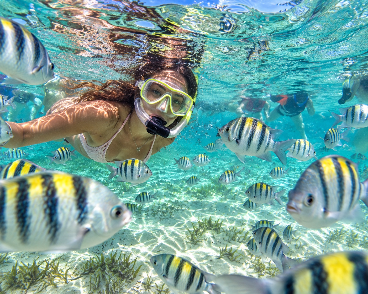 Snorkeling y peces tropicales en el mar Caribe